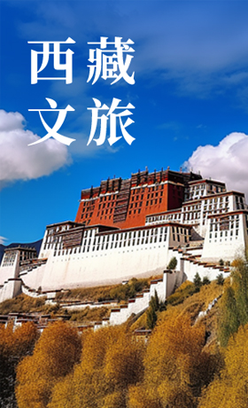 西藏文旅 