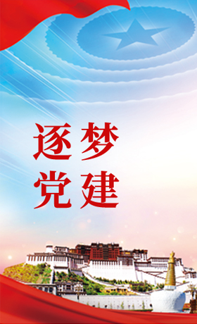 逐梦党建 