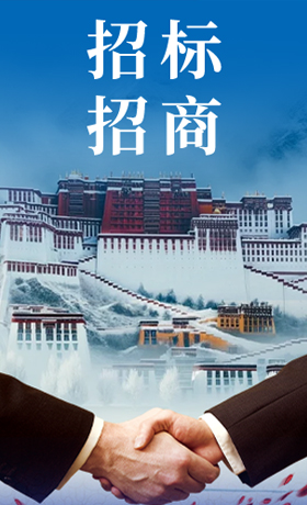 招标招商 